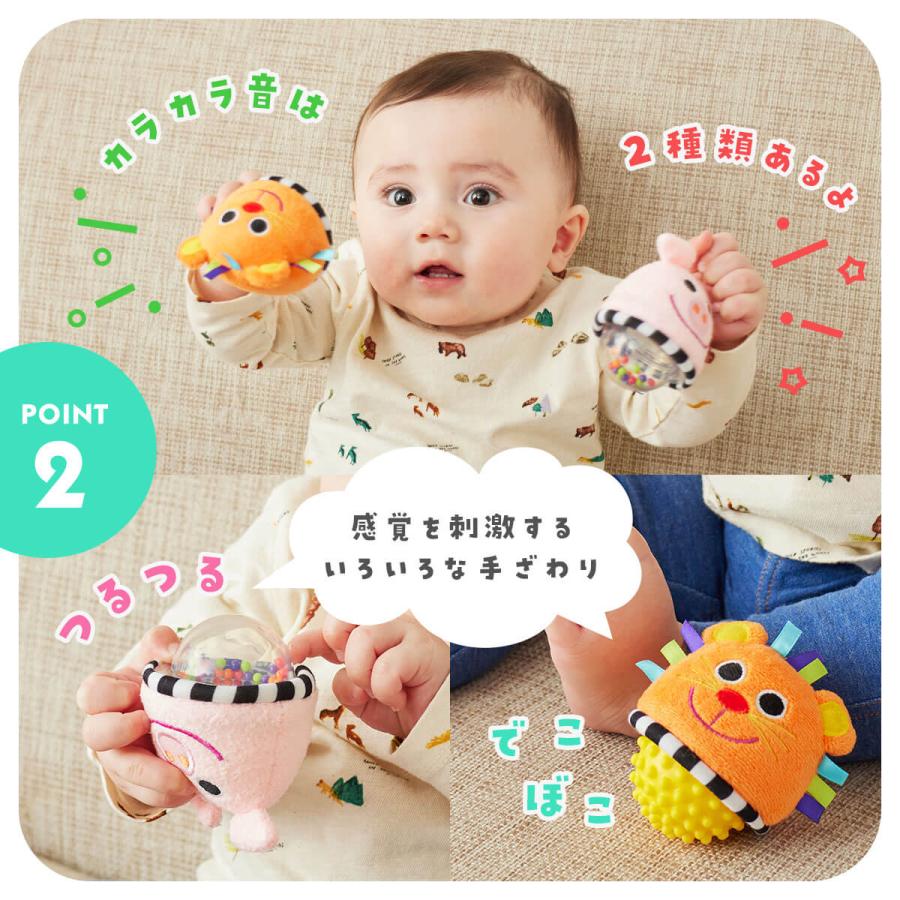 Sassy（知育玩具） Sassy サッシー ラトルセット らいおんと