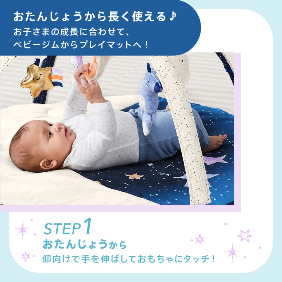 スキップポップ ベビージム ナイトムーン ナイトムーン・ベビージム: おもちゃ[DADWAY ダッドウェイ