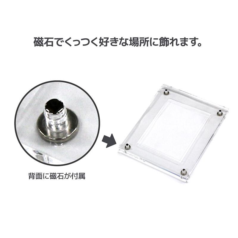 トレカケース The Case PREMIUM スタンダードサイズ ディスプレイ 