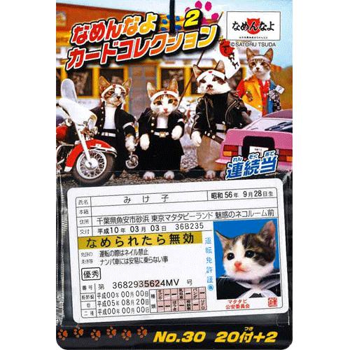 懐かしい　レア物　「なめんなよ」カードケース　カード３枚 エンスカイ】30円 なめんなよ カードコレクション2当て(20付+2