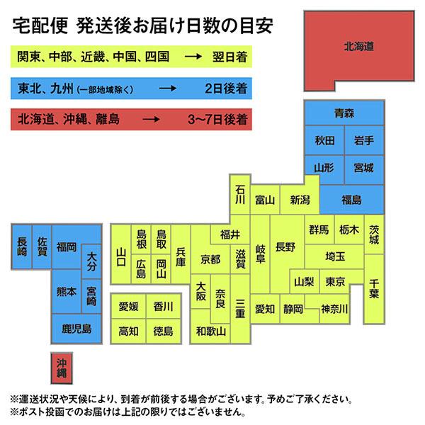 送料無料 ネクタイピン タイピン ネクタイ スーツアクセサリー シンプル シルバー パーティー ギフト プレゼント ドメスティック DAgDART ダグダート DK-017｜dagdart｜05