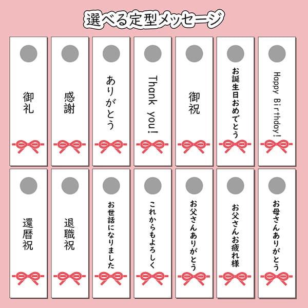 送料無料 ゴルフマーカー 名入れ シルバー925 ギフト プレゼント 父の日 還暦 退職 誕生日 お祝い マーカー コンペ ボールマーカー マグネット MS-028｜dagdart｜14