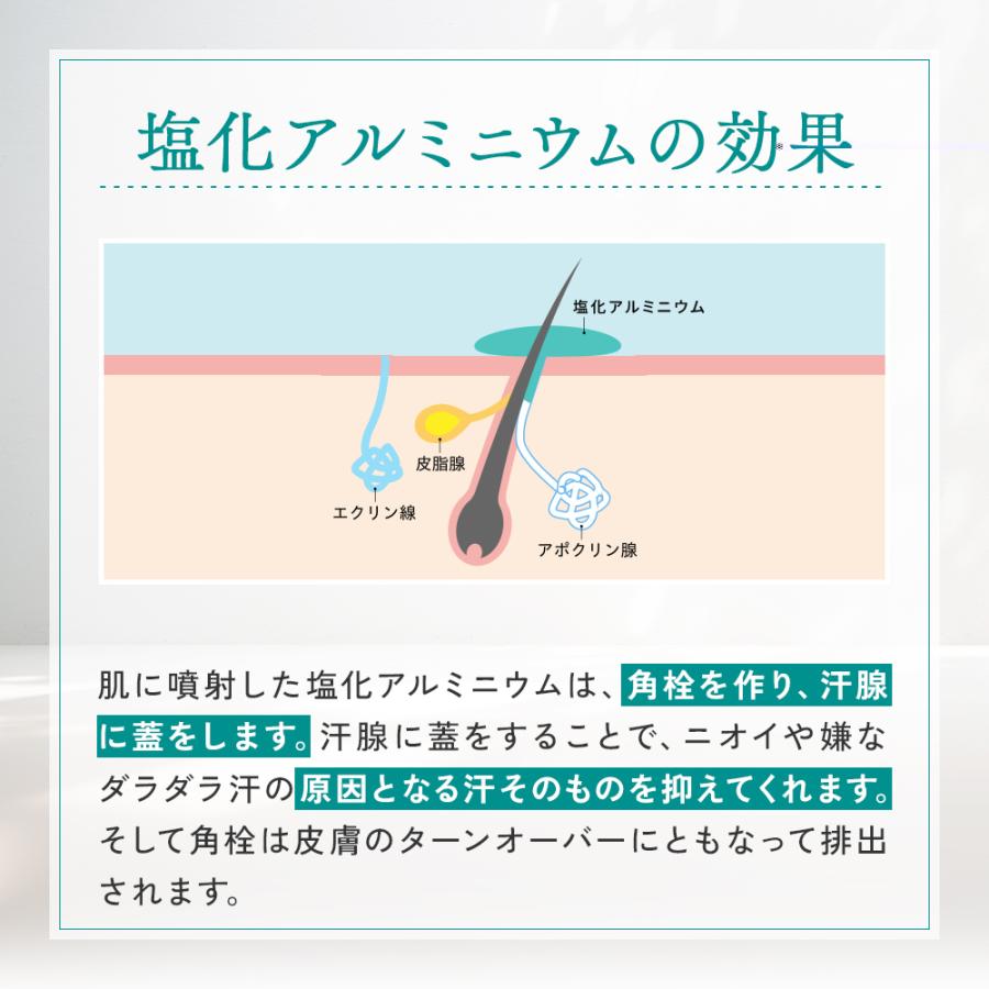 オドレミスト 53ml（お得な詰替え用・ミストポンプなし） 医薬部外品[わき/脇/足/ワキガ/加齢臭/無香料] 汗対策♪OD-NP　odoremist |  | 06
