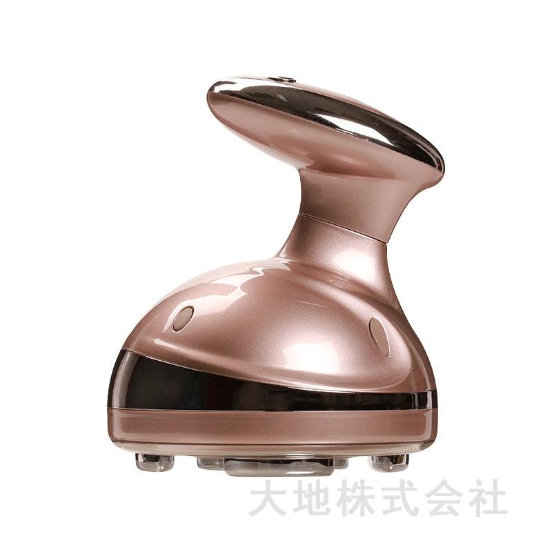 大特価】家庭用キャビテーション機器 痩身 美肌 RFラジオ波~LED 大特価】家庭用キャビテーション機器 痩身 美肌 RFラジオ波~LED