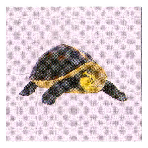 登場大人気アイテム フルタ 海洋堂 チョコエッグ 日本の動物コレクション 第5弾 130 ヤエヤマセマルハコガメ 両生類 食玩 おまけ フィギュア