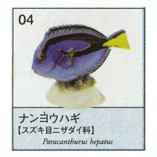 人気急上昇 フィギュア 原色海水魚図鑑1 デスクトップ ユージン 原色図鑑シリーズ10 ナンヨウハギ ガチャポン 生き物