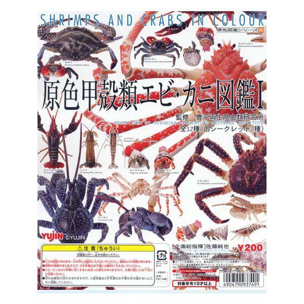 原色甲殻類エビ カニ図鑑1 再販 シャコ ユージン ガチャポン ガシャポン チョコエッグ フィギュア S だいだらぼっちヤフー店 通販 Yahoo ショッピング
