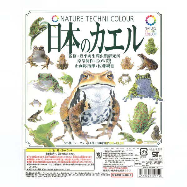 奇譚クラブ ネイチャーテクニカラー 日本のカエル 全8種 セット