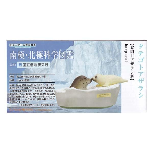 Sale 85 Off 立体カプセル百科事典 極地研 南極 北極科学図鑑 タテゴトアザラシ タカラトミーアーツ ガチャポンフィギュア Wantannas Go Id