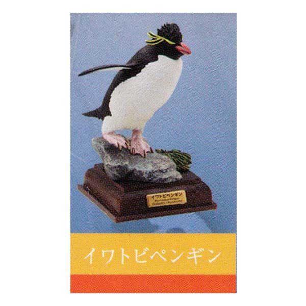レビューを書けば送料当店負担 ネイチャーテクニカラー 南極 デスクトップ 奇譚クラブ ガシャポン ガチャポン チョコエッグ フィギュア イワトビペンギン 生き物