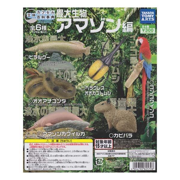 立体カプセル百科事典 最大生物 アマゾン編 コンゴウインコ タカラトミーアーツ ガチャポン ガシャポン チョコエッグ デスクトップ フィギュア｜daidara2007｜02