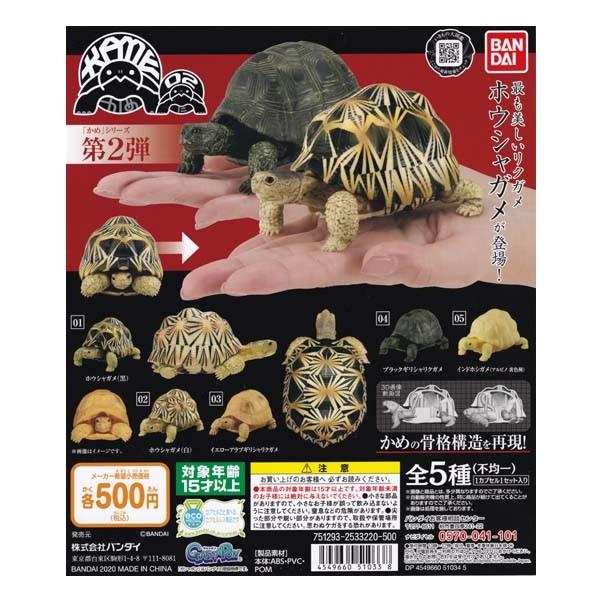 いきもの大図鑑 かめ シリーズ 第2弾 Kame 02 3種セット バンダイ ガチャポン フィギュア カメ 亀 S だいだらぼっちヤフー店 通販 Yahoo ショッピング