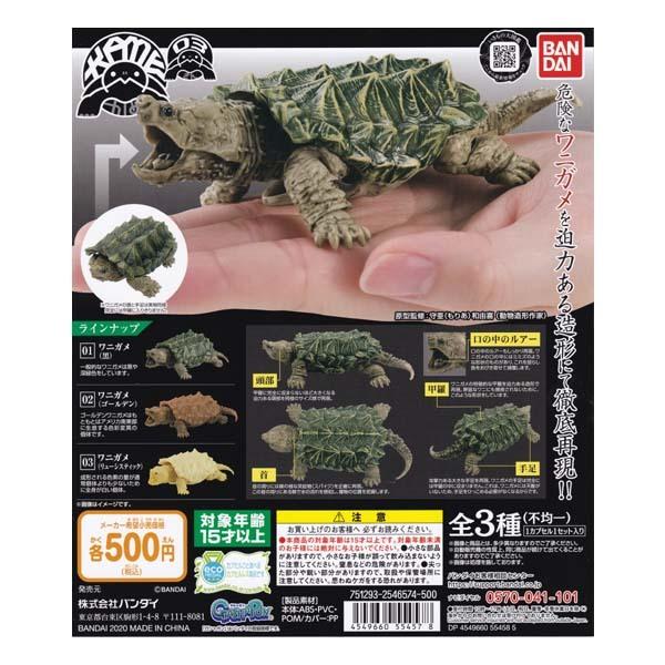 いきもの大図鑑 かめ シリーズ 第3弾 Kame 03 2種セット バンダイ ガチャポン フィギュア カメ 亀 S だいだらぼっちヤフー店 通販 Yahoo ショッピング
