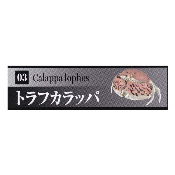 いきもの大図鑑 12月スーパーsale かに Kani トラフカラッパ バンダイ カニ ガチャポン フィギュア 蟹