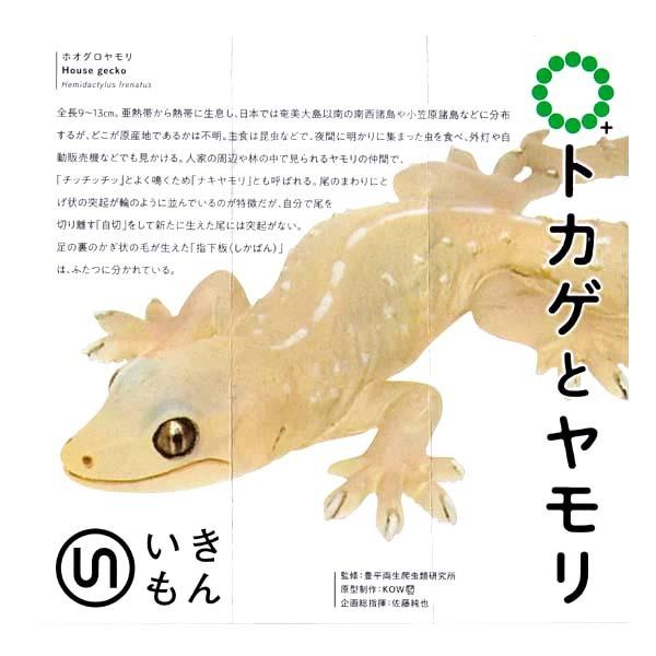210円 ギフ 包装 ネイチャーテクニカラー Mono Plus トカゲとヤモリ マグネット ボールチェーン ホオグロヤモリ いきもん ガチャポン フィギュア