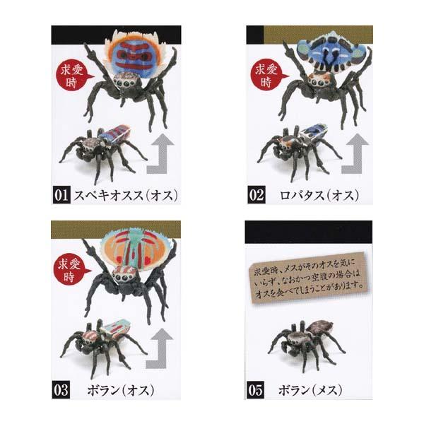 いきもの大図鑑 ピーコックスパイダー 4種セット Maratus Volans バンダイ ガチャポン フィギュア 蜘蛛 クモ 昆虫 求愛ダンス S だいだらぼっちヤフー店 通販 Yahoo ショッピング
