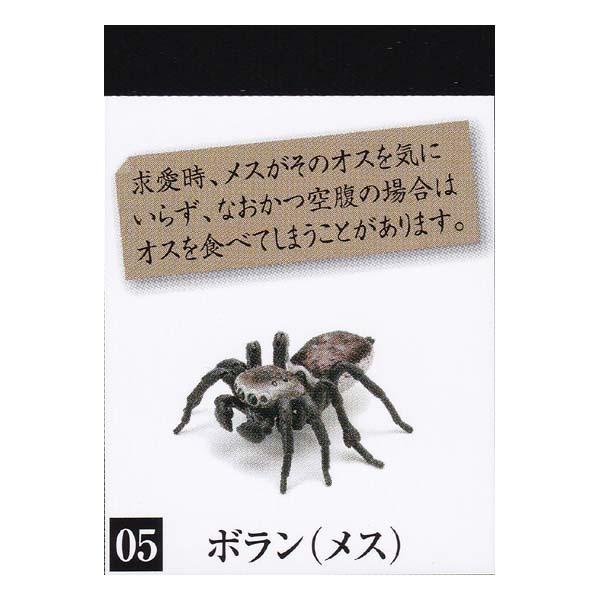 いきもの大図鑑 ピーコックスパイダー ボラン メス Maratus Volans バンダイ ガチャポン フィギュア 蜘蛛 クモ 昆虫 求愛ダンス S だいだらぼっちヤフー店 通販 Yahoo ショッピング