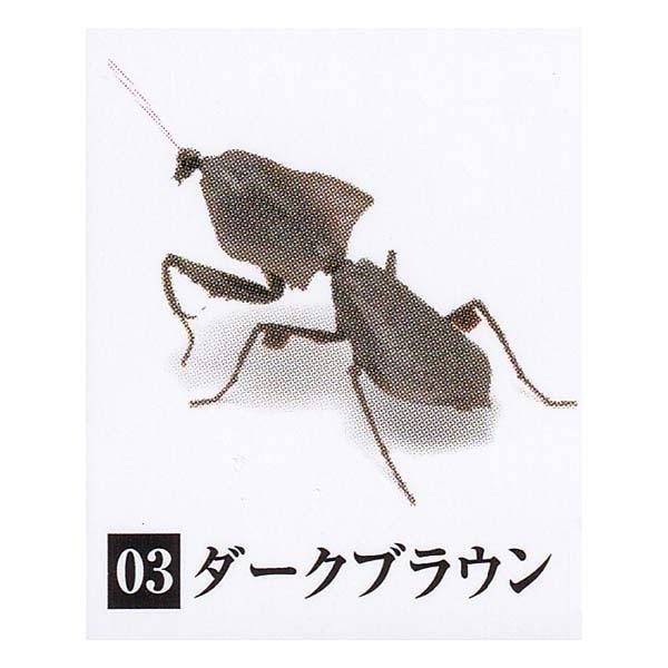 いきもの大図鑑 かまきり 02 KAMAKIRI カマキリ 02 マルムネカレハカマキリ（ダークブラウン） バンダイ ガチャポン フィギュア 昆虫｜daidara2007