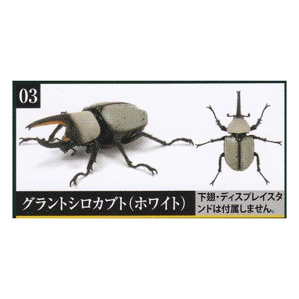 270円 超人気 いきもの大図鑑 かぶとむし 03 グラントシロカブト ホワイト バンダイ ガチャポン フィギュア 昆虫 Beetle Kabutomushi カブトムシ