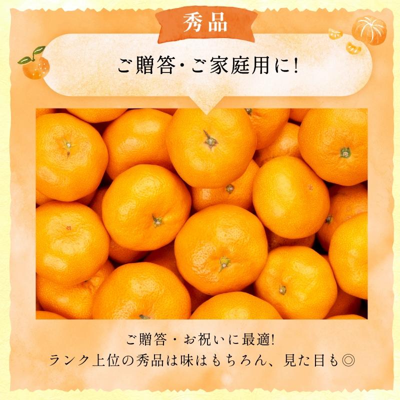 みかん10㌔青島、大津ミックス、サイズもミックスS〜4Ｌ　減農薬/八百屋セレクト 訳あり 減農薬 有機栽培 無農薬 混合 三ヶ日 青島 みかん 10kg 送料