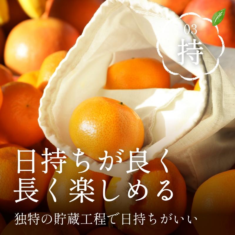 三ヶ日みかん 青島 8kg 優品相当 ミックスサイズ 農家直送 みかん