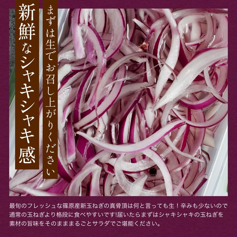 たまねぎ 浜松篠原産 A級品L玉 赤玉ねぎプレミアムレッド5kg  新玉ねぎ タマネギ 玉葱 紫玉ねぎ 辛くないたまねぎ！ |  | 03
