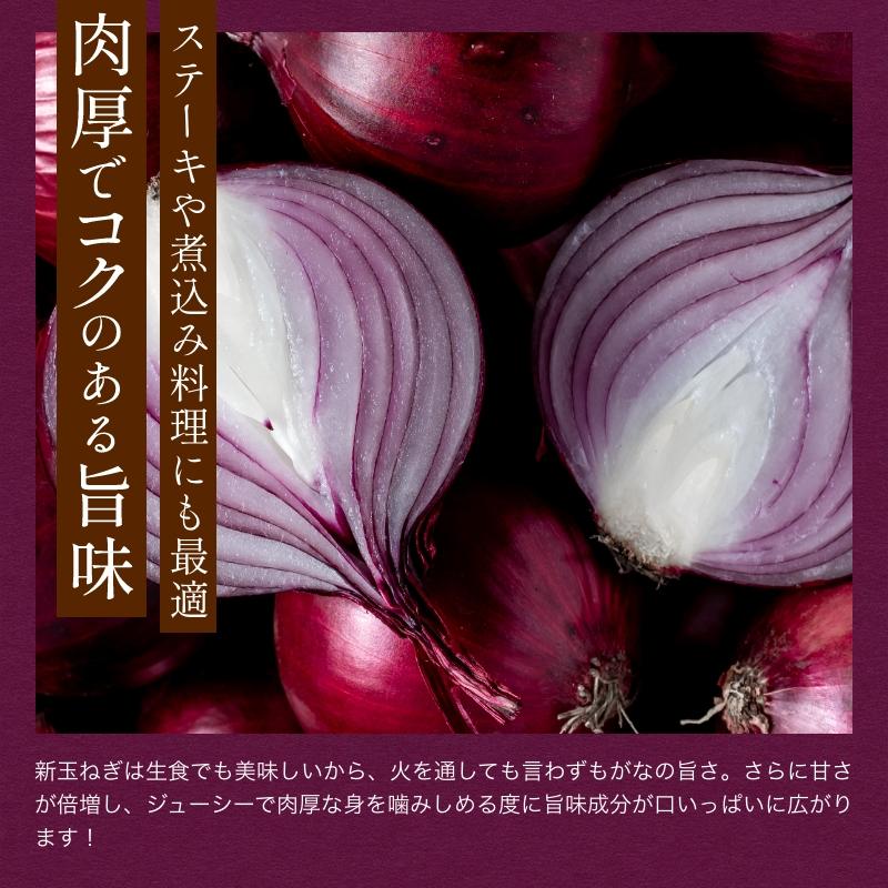 たまねぎ 浜松篠原産 A級品L玉 赤玉ねぎプレミアムレッド5kg  新玉ねぎ タマネギ 玉葱 紫玉ねぎ 辛くないたまねぎ！ |  | 04