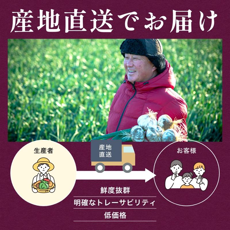 たまねぎ 浜松篠原産 A級品L玉 赤玉ねぎプレミアムレッド5kg  新玉ねぎ タマネギ 玉葱 紫玉ねぎ 辛くないたまねぎ！ |  | 06