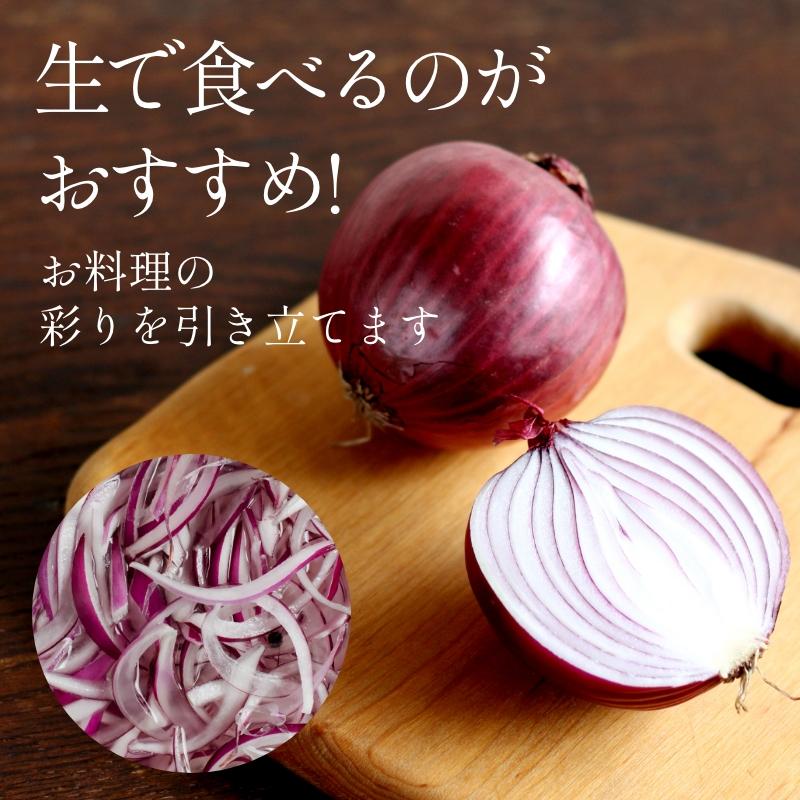 たまねぎ 浜松篠原産 A級品L玉 赤玉ねぎプレミアムレッド5kg  新玉ねぎ タマネギ 玉葱 紫玉ねぎ 辛くないたまねぎ！ |  | 07