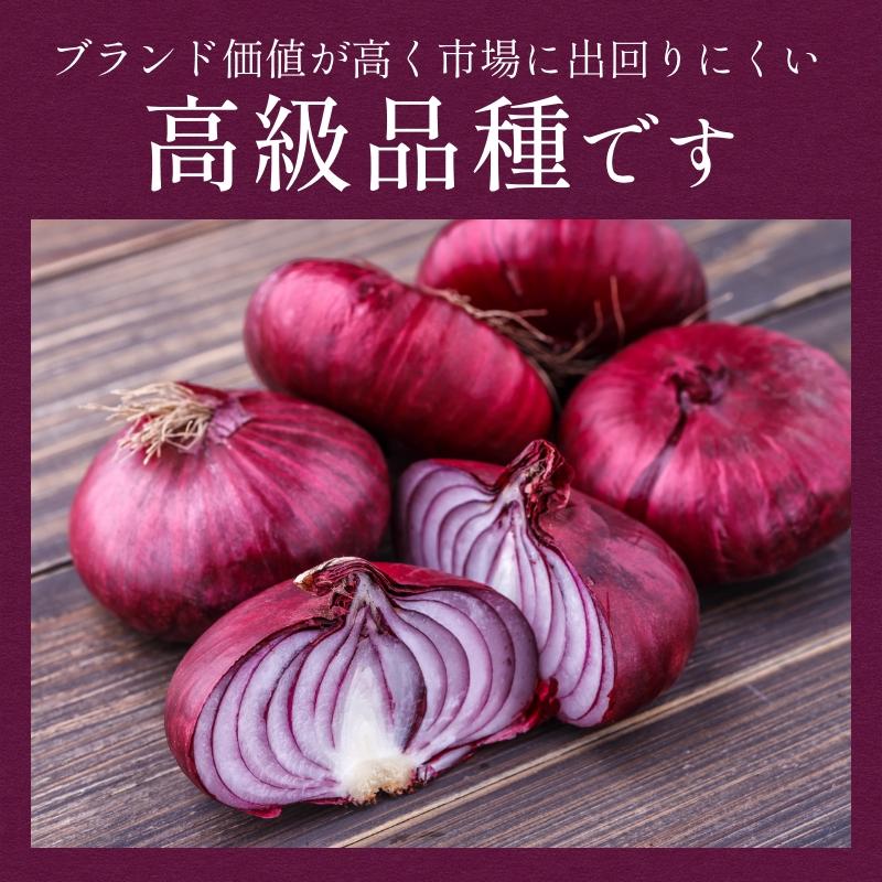 たまねぎ 浜松篠原産 赤玉ねぎプレミアムレッド10kg 新玉ねぎ タマネギ