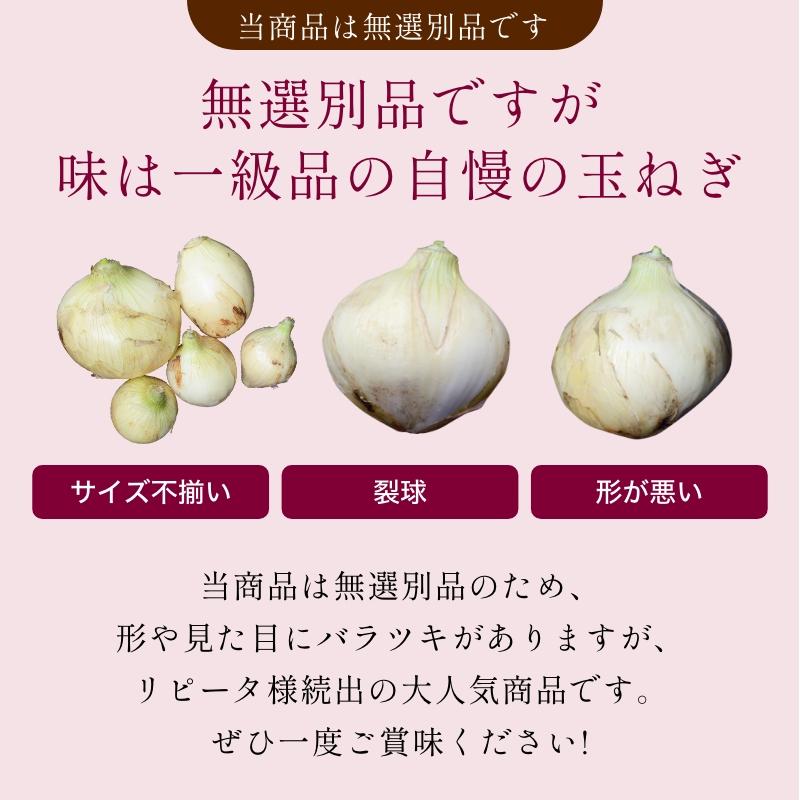 たまねぎ 浜松篠原産 赤玉ねぎプレミアムレッド10kg  新玉ねぎ タマネギ 玉葱 紫玉ねぎ |  | 04