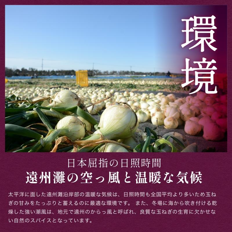 たまねぎ 浜松篠原産 赤玉ねぎプレミアムレッド10kg  新玉ねぎ タマネギ 玉葱 紫玉ねぎ |  | 06