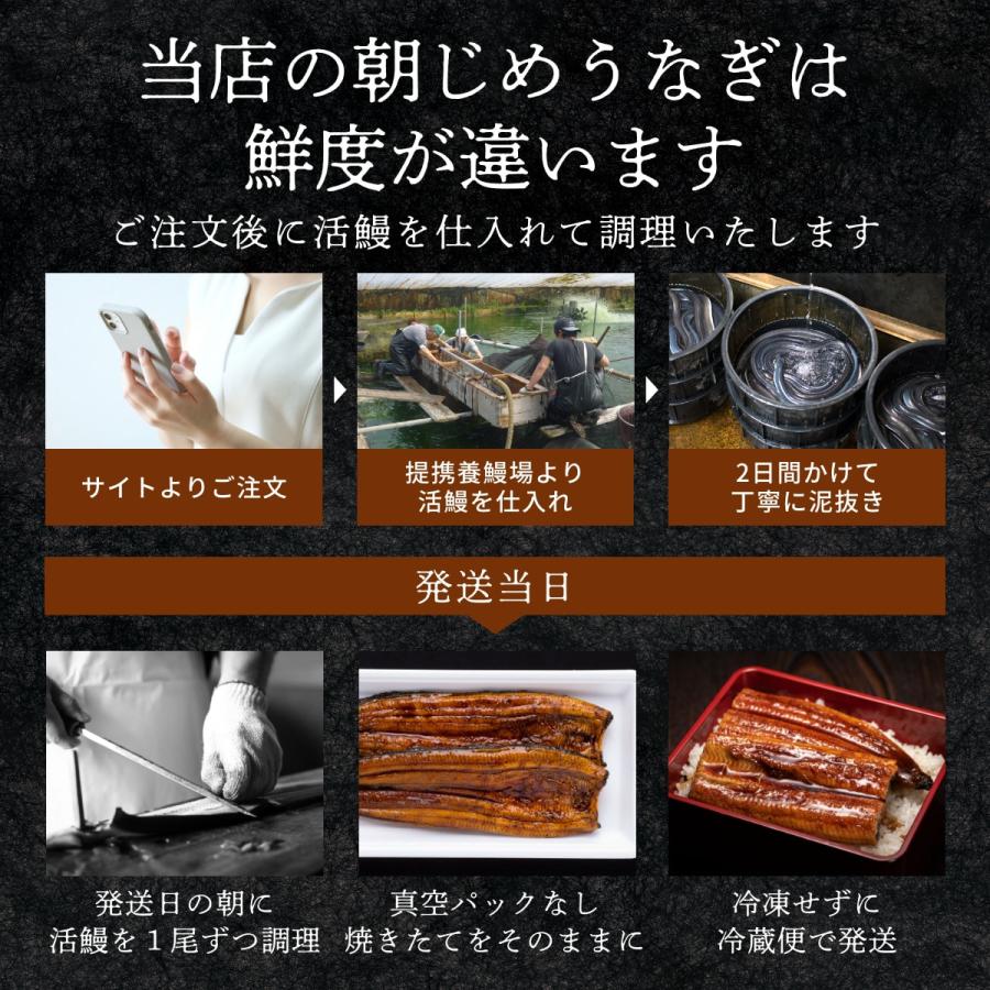 うなぎ 国産 朝じめ 鰻 蒲焼き2尾と白焼き1尾のコンビセット 敬老の日 母の日 父の日 お中元 お歳暮 ギフト プレゼント |  | 07