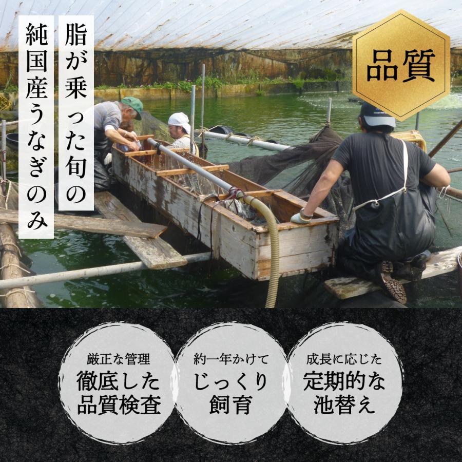 うなぎ 国産 朝じめ 鰻 蒲焼き2尾と白焼き1尾のコンビセット 敬老の日 母の日 父の日 お中元 お歳暮 ギフト プレゼント |  | 08
