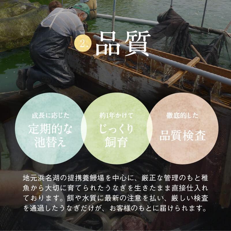 朝じめ うなぎ 国産 蒲焼き 2尾 特選 鰻  母の日 父の日 お中元 内祝い プレゼント ギフト 60代 70代 80代｜daidarabocchi｜12