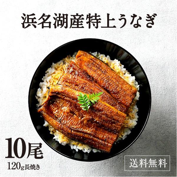 うなぎ 蒲焼き 国産 浜名湖産 特選浜名湖うなぎ蒲焼き10尾セットギフト プレゼント 丑の日 お中元 お歳暮 まとめ買い