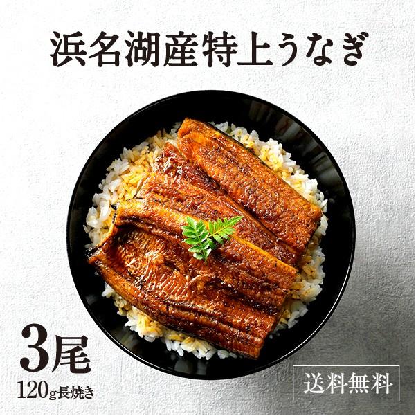 【北海道 沖縄送料別】訳あり浜名湖産うなぎ蒲焼3本セット 北海道 沖縄送料別】訳あり浜名湖産うなぎ蒲焼3本セット 浜名湖
