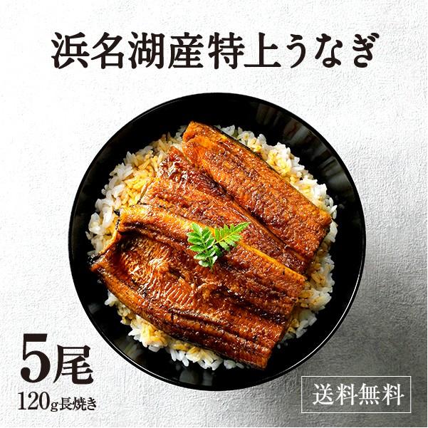 うなぎ 蒲焼き 国産 浜名湖産 特選浜名湖うなぎ蒲焼き5尾セット 父の日
