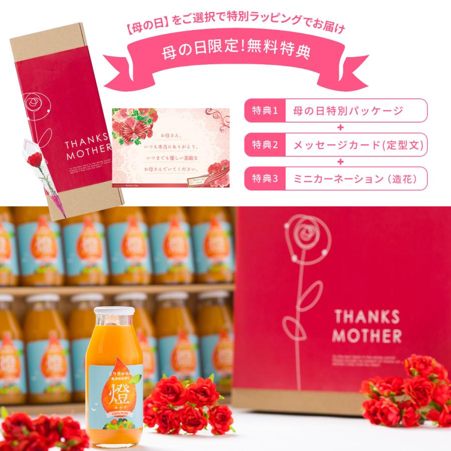 超濃厚 三ヶ日みかん100％ジュース 燈(あかり) 1000ml×2本入 ギフト
