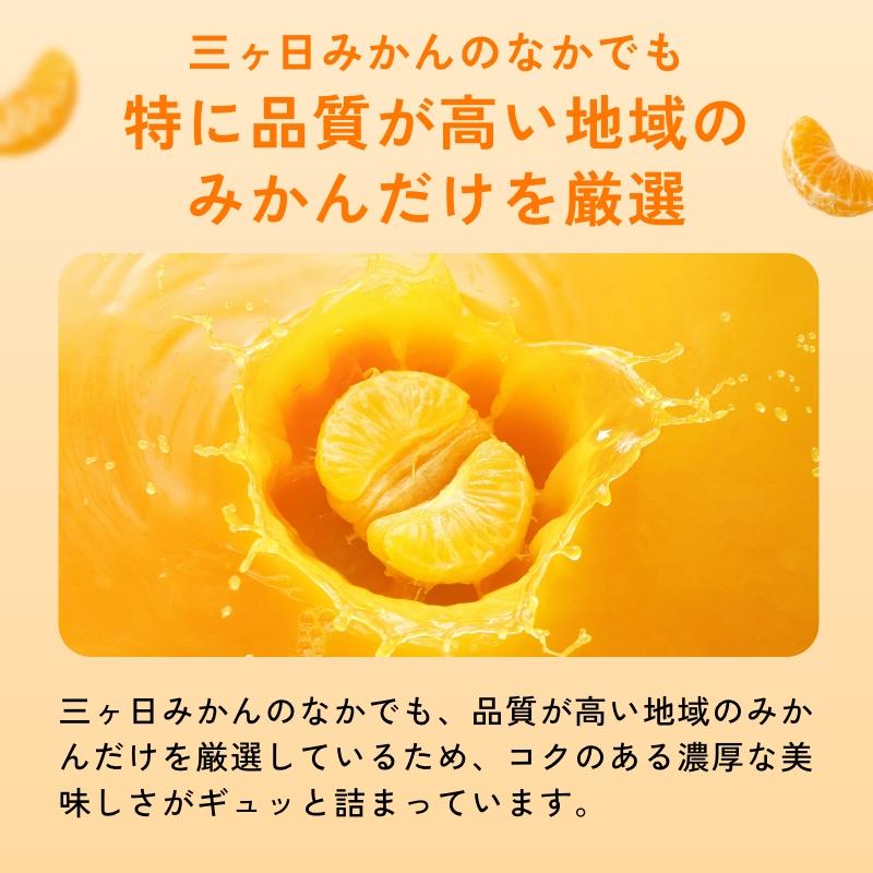 超濃厚 三ヶ日みかん100％ジュース 燈(あかり) 1000ml×2本入 ギフト
