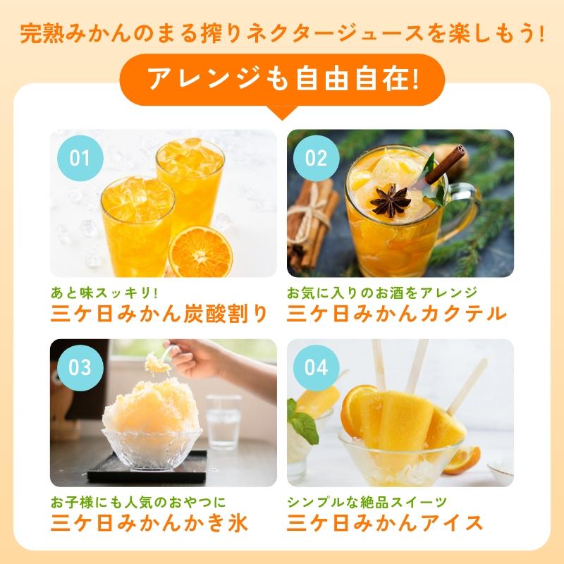 超濃厚 三ヶ日みかん100％ジュース 燈(あかり) 1000ml×2本入 ギフト