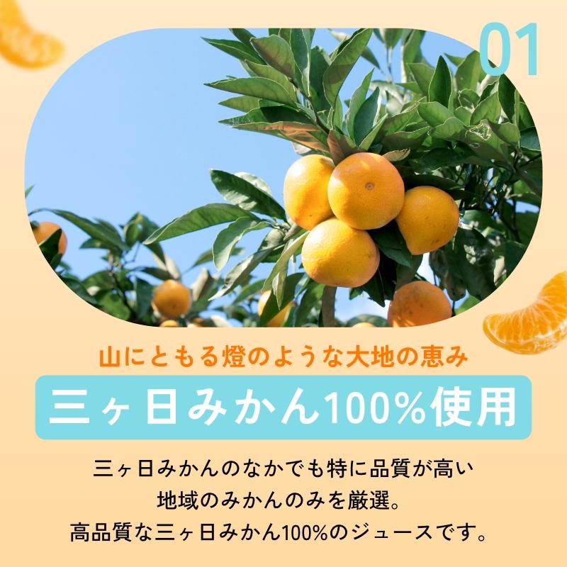 超濃厚 三ヶ日みかん100％ジュース 燈(あかり) 1000ml×2本入 ギフト