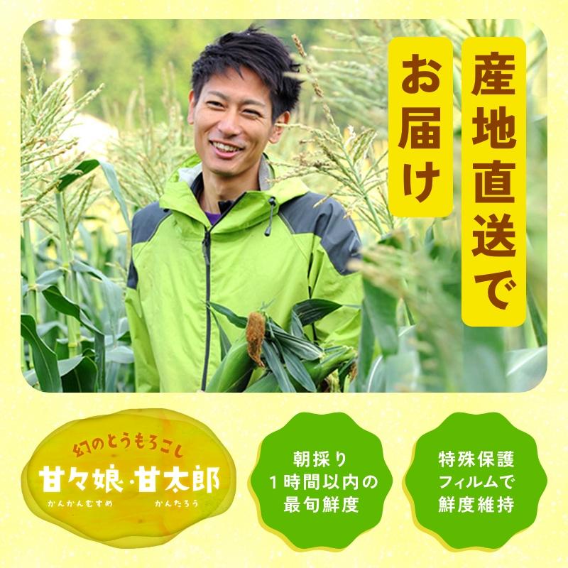 静岡県産とうもろこし 甘々娘 甘太郎 M〜3Lサイズ7〜10本入り 家庭用