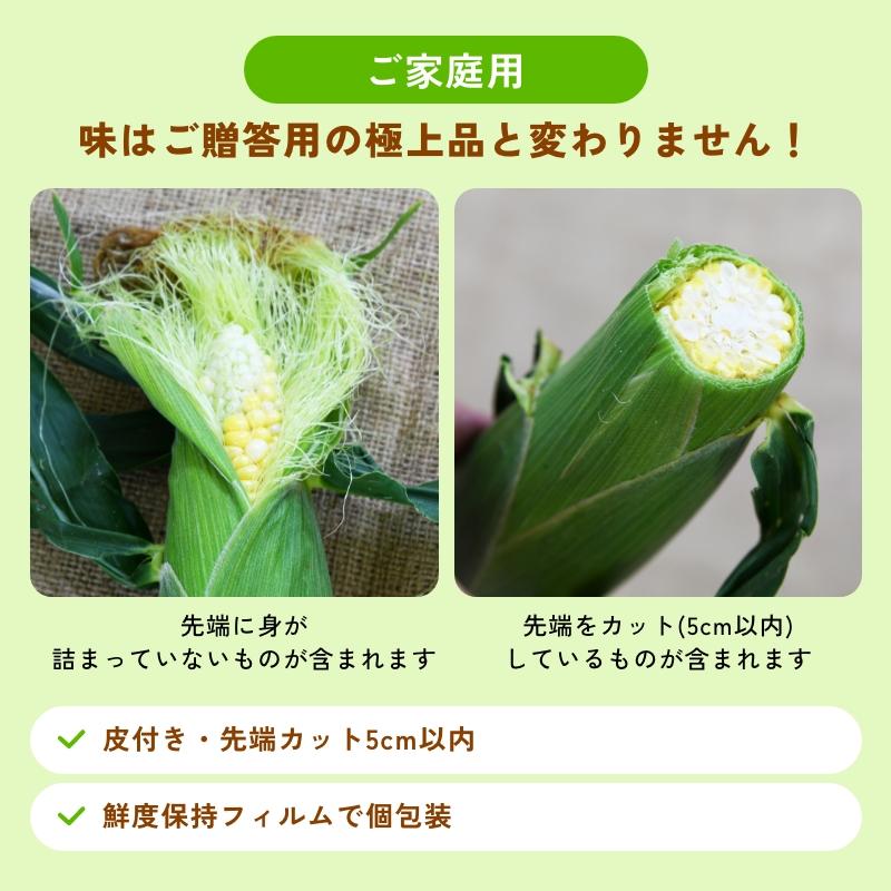 静岡県産とうもろこし 甘々娘 甘太郎 M〜3Lサイズ7〜10本入り 家庭用