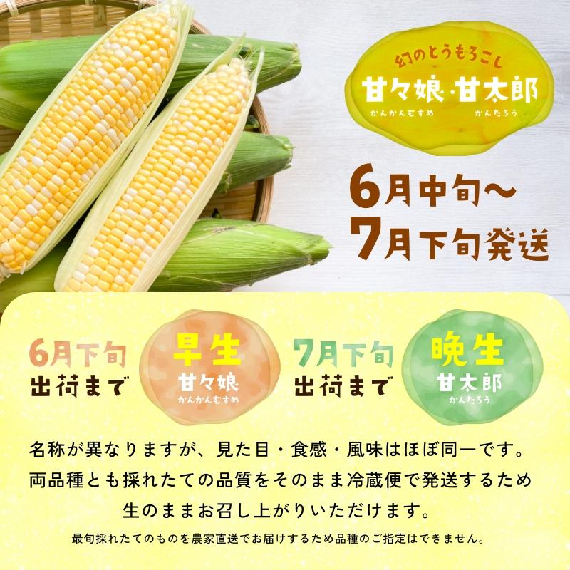 静岡県産とうもろこし 甘々娘 甘太郎 M〜3Lサイズ7〜10本入り 家庭用