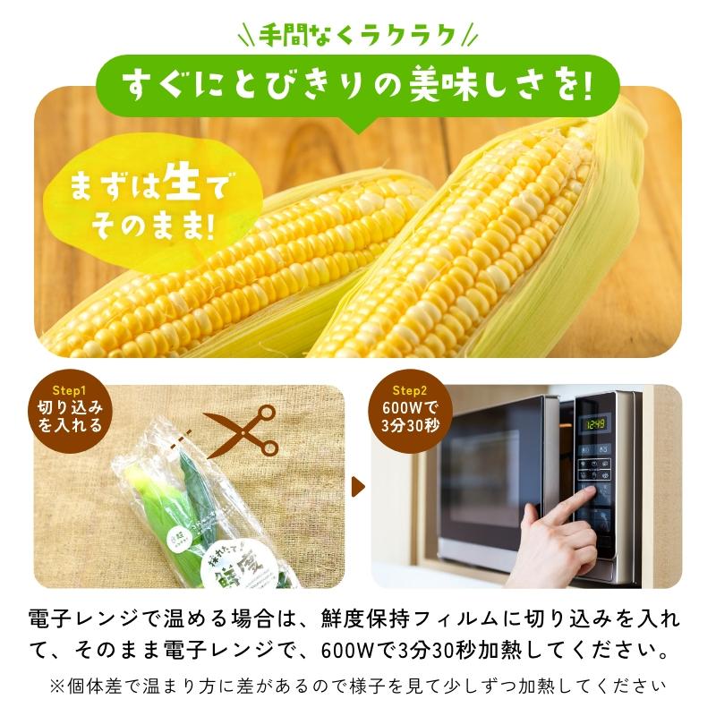 静岡県産とうもろこし 甘々娘 甘太郎 L〜3Lサイズ7〜9本入り 贈答用