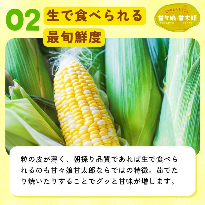 静岡県産とうもろこし 甘々娘 甘太郎 L〜3Lサイズ4〜6本入り 贈答用