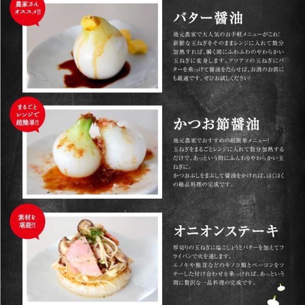 たまねぎ 浜松篠原産 新玉ねぎプレミアムフレッシュ10kg 辛くない 玉ねぎ タマネギ 玉葱 Kidama 10kg 浜名湖産直マーケット 通販 Yahoo ショッピング