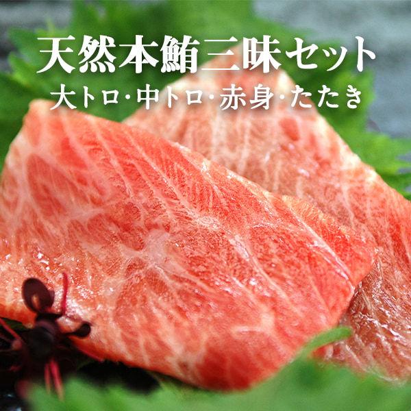 交換無料 マルイリの 天然本鮪三昧 セット 大トロ150ｇ 1柵 中トロ150ｇ 1柵 赤身150ｇ 1柵 たたき100ｇ 1 Maruiri 15 浜名湖産直マーケット 通販 Yahoo ショッピング 早割クーポン Blog Lonolife Com