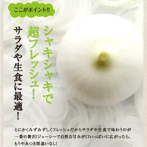 有機白玉ねぎ 約10キロ 香川県産 有機白玉ねぎ 約10キロ 香川